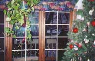 xmas100_sm.jpg (27151 bytes)
