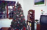 xmas200_sm.jpg (23395 bytes)