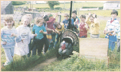 farm tour