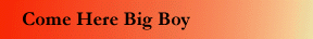 Come here big boy (wedding page photo)