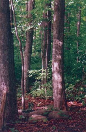 Chicago Pagan and Traditionalist Gathering