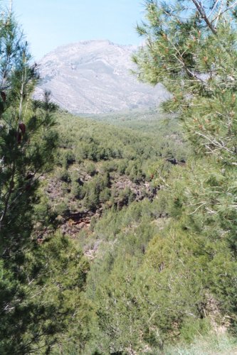 Above Nerja, walking along to the Fuente del Esparto (Esparto Fountain)