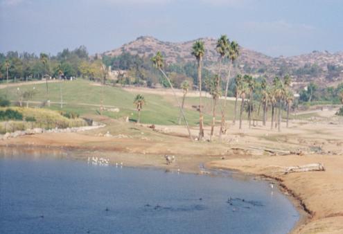Panoramic View