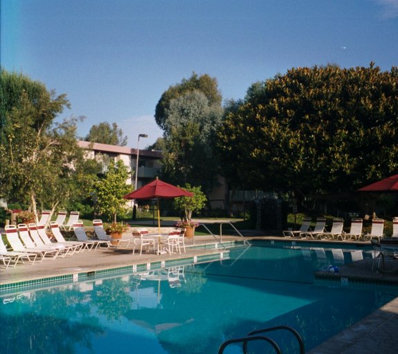 The open air pool