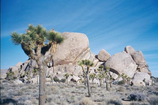 Cap Rock