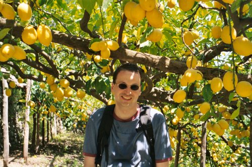 In a Lemon Grove