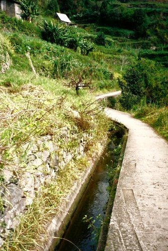 Levada through Marocos