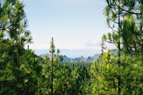 Looking out west over Tenerife