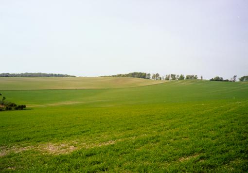 Downlands between Winterslow and Broughton