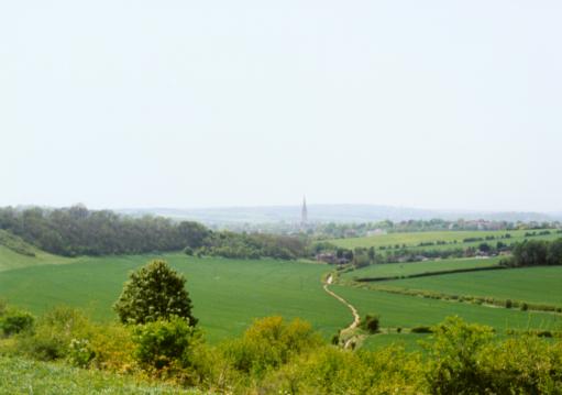 Looking back across fields to Salisbury Cathedral