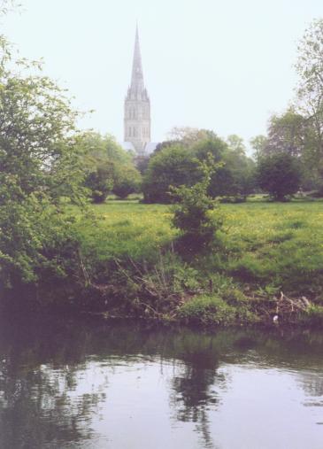 Salisbury Cathedral viewed from the water meadows