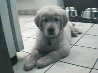 Baby Zug in 'his kitchen'