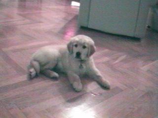 Baby Zug