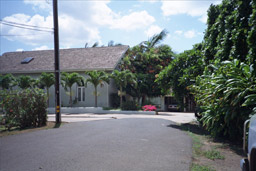 Our landlords also have green thumbs - lots of tropical fruits and flora