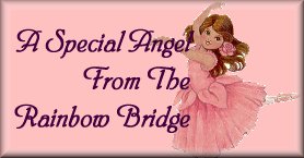 RainbowBridge