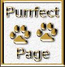 CatStuff