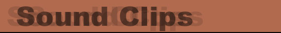 Bio_images_bar_08.jpg