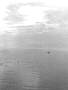 earlymorningboat.jpg