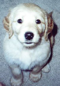 Martie