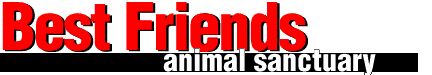 If you love animals check this site out