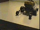 Animation