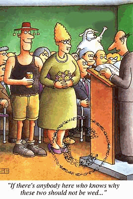 DARN SHEEP