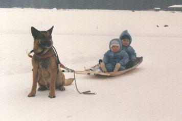 Jami-koira, min� ja naapurin Samu!