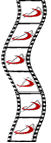 film with logo