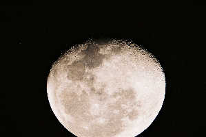 Moon thumb 
