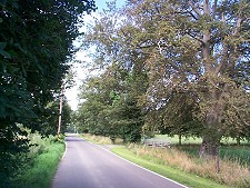 Dark Lane