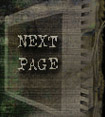 Next page