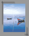 Barca da Ria de Aveiro