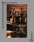 Port Wine