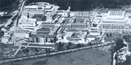 University of Minho - Campus de Gualtar