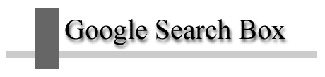 Google Search Box