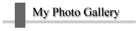 My Photo Gallery