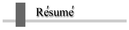 Paulo's R�sum�
