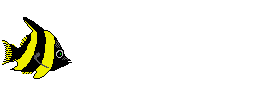 fvd