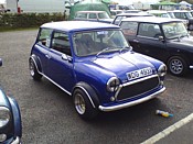 Mini on Tens