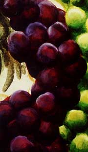 traubendetail.jpg