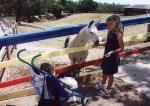 Gabby Shares her animal food with a little girl