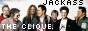 Jackass