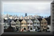 Painted Ladies