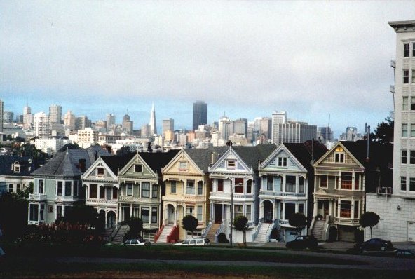 Painted Ladies