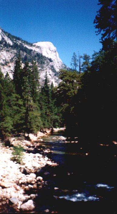 Looking down the river