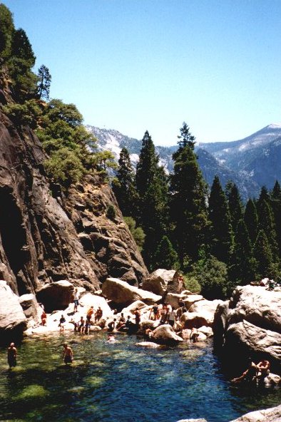 Fancy a swim up a mountain?
