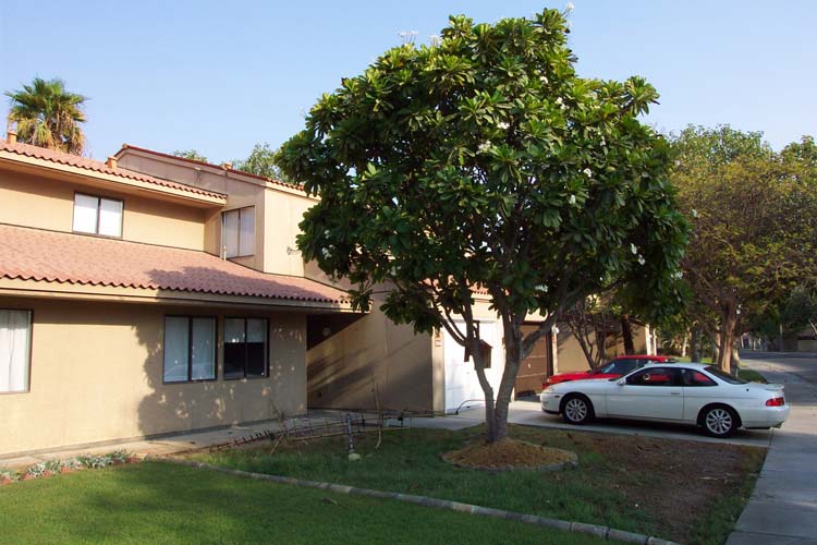 Dhahran Hills Camp townhouse