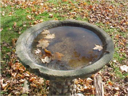 birdbath.jpg (49381 bytes)