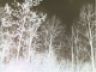 negative
