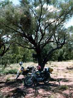 A creek near Camooweal